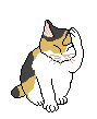 katze03.gif