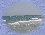 seite050.jpg